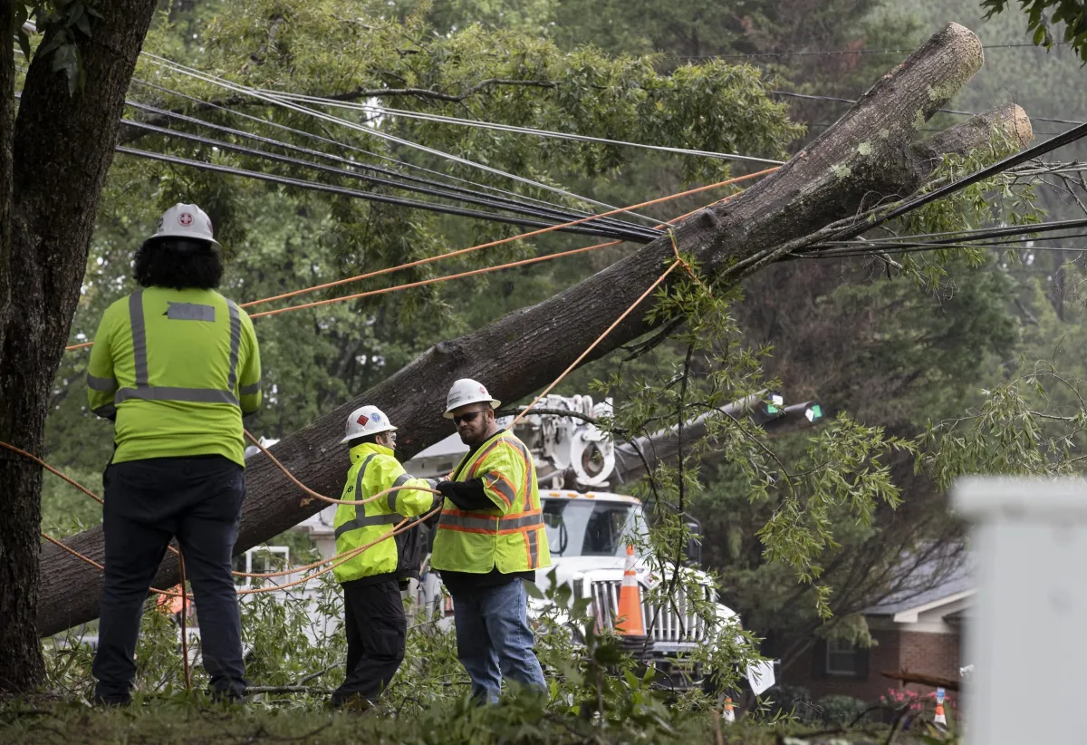 Crews work to clear a tree that fell on power lines